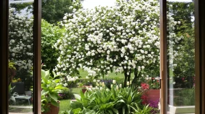 Ces 8 arbres fruitiers hybrides à fleurs, encore rares, attirent une foule d’oiseaux sans mangeoires