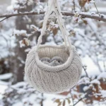 “Les oiseaux vont vous dire merci !” : ce DIY à faire en 10 secondes va leur être d’un précieux secours cet hiver