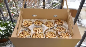 Ne jetez plus vos vieilles boîtes d’œufs : elles sont très utiles au jardin pour nourrir et attirer les oiseaux cet hiver