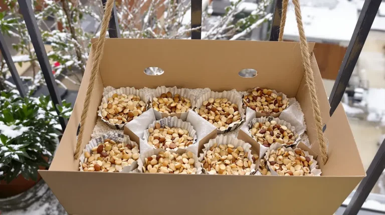 Ne jetez plus vos vieilles boîtes d’œufs : elles sont très utiles au jardin pour nourrir et attirer les oiseaux cet hiver Ne jetez plus vos vieilles boîtes d’œufs : elles sont très utiles au jardin pour nourrir et attirer les oiseaux cet hiver