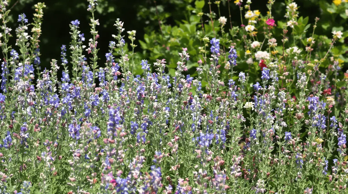Ne plantez plus votre romarin seul : ces 20 fleurs transforment vraiment votre jardin en refuge pour abeilles et oiseaux Ne plantez plus votre romarin seul : ces 20 fleurs transforment vraiment votre jardin en refuge pour abeilles et oiseaux