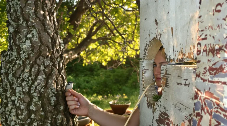 Nos conseils pour choisir le bon nichoir et le placer correctement au jardin Nos conseils pour choisir le bon nichoir et le placer correctement au jardin