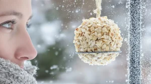 On parle souvent de nichoirs, mais rarement de cet aliment clé pour la survie des oiseaux en hiver